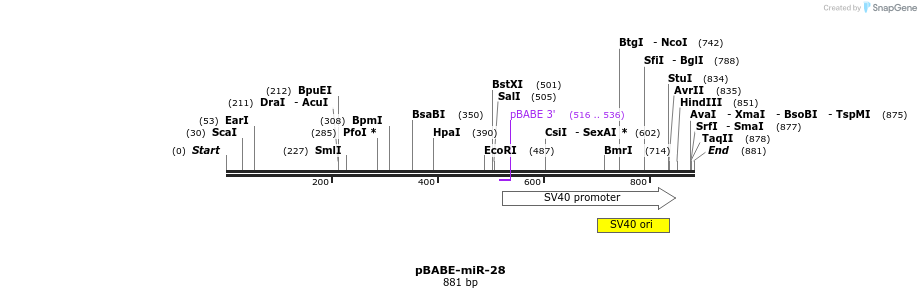 44927_map