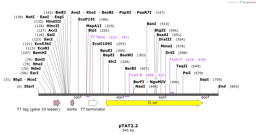 44929_map