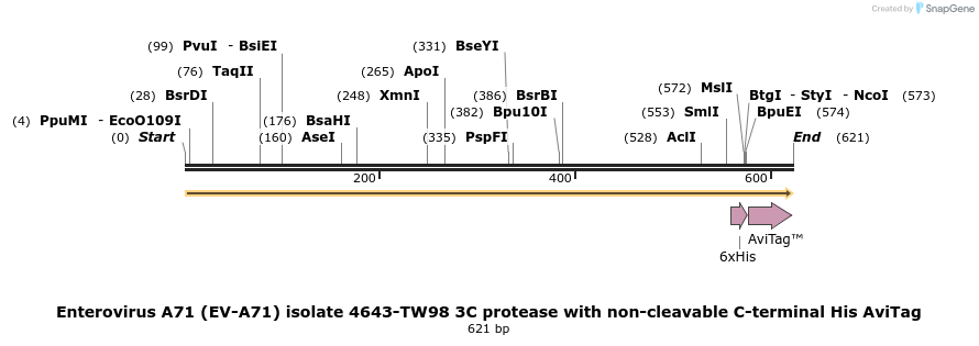 449296_map