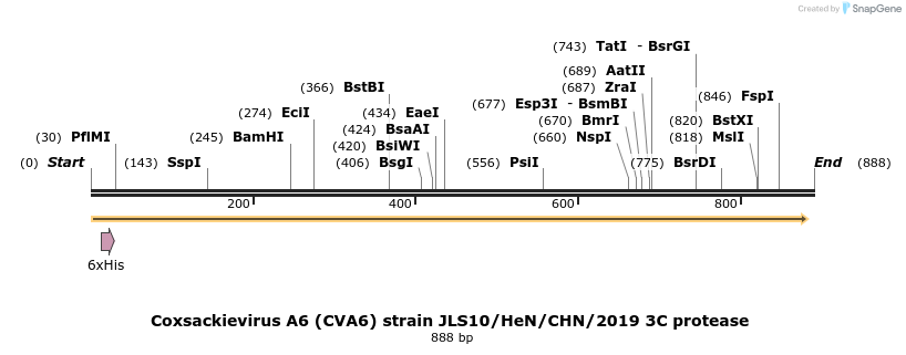 449299_map