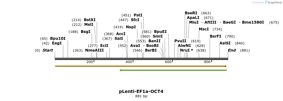 44930_map