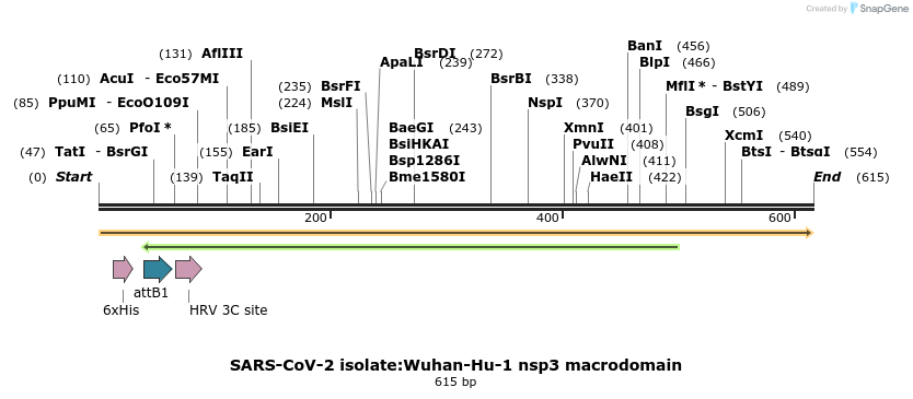 449304_map