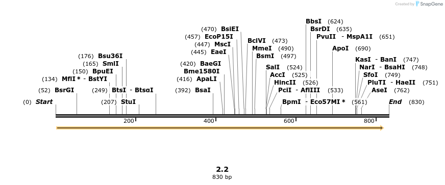 44953_map