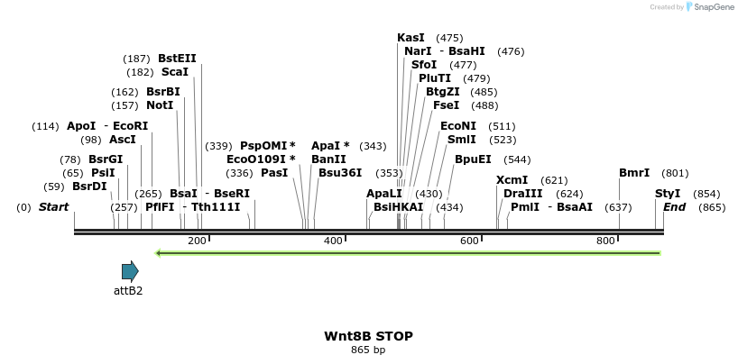 44958_map