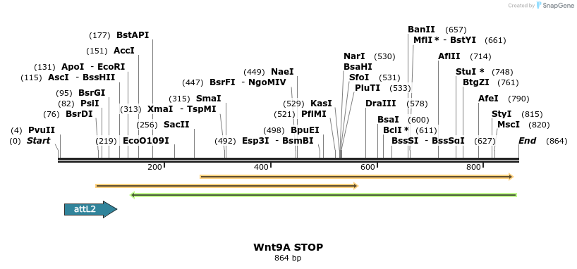 44959_map