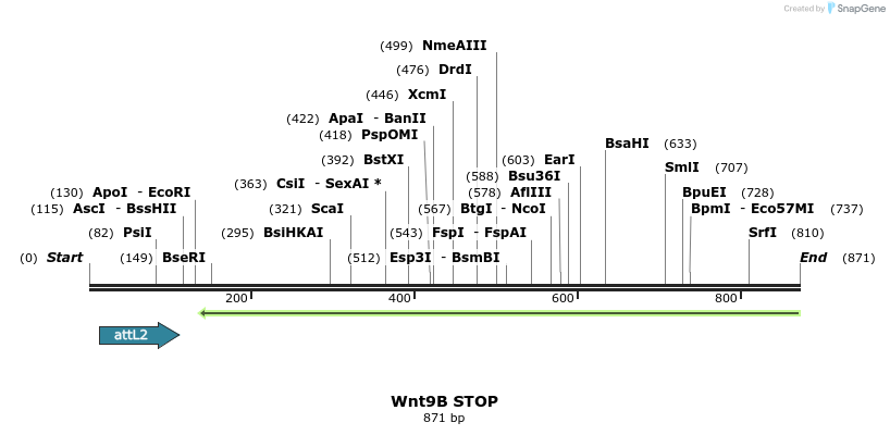44960_map