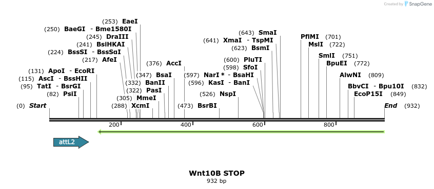 44961_map