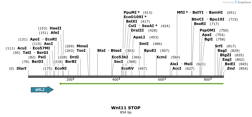 44962_map