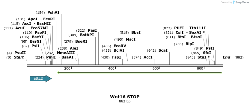 44963_map