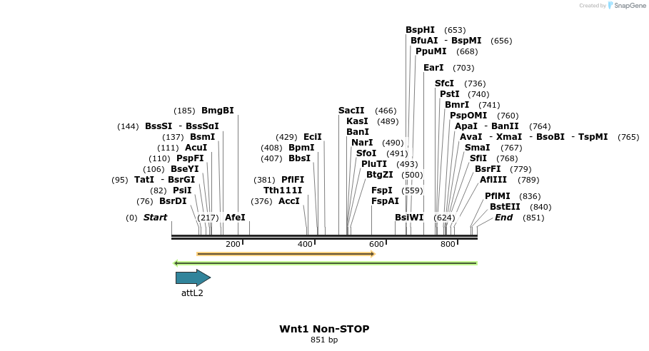 44964_map