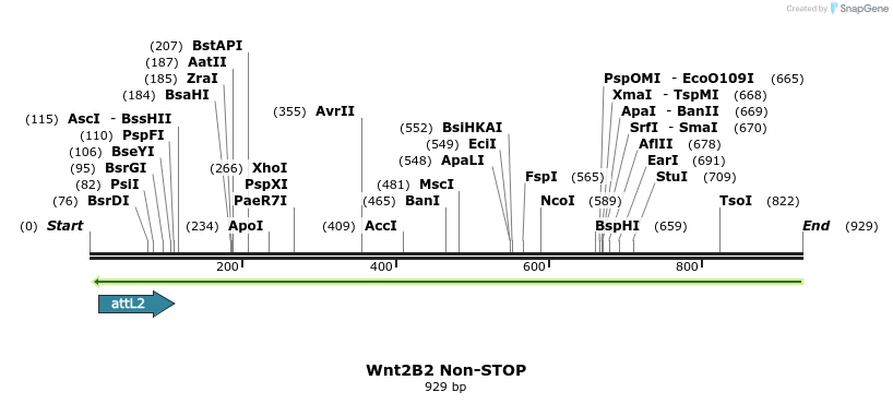 44966_map