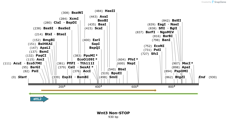 44968_map