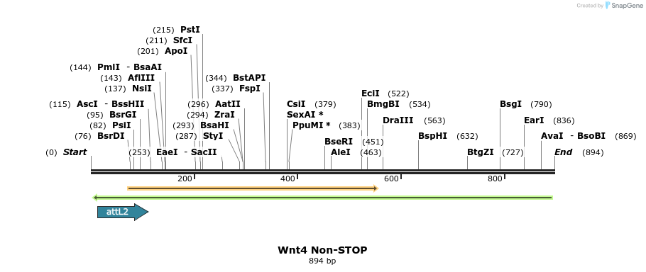 44969_map