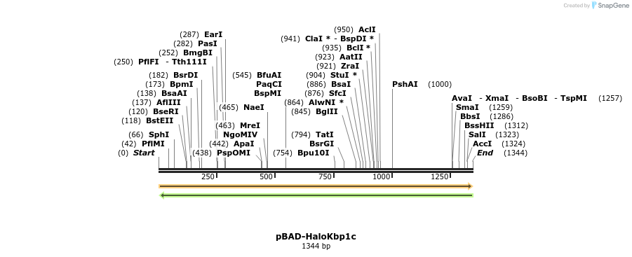 449731_map