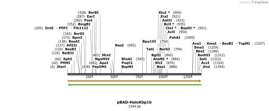 449732_map