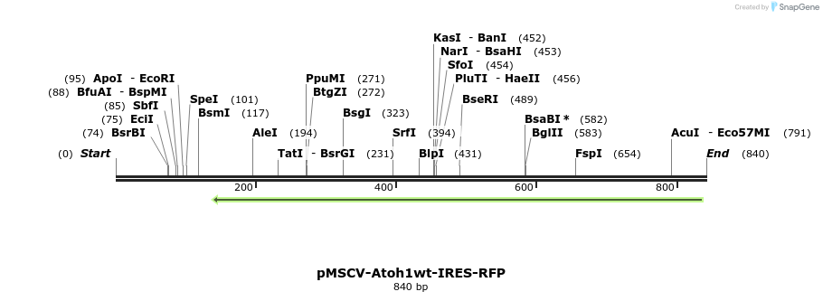 44975_map