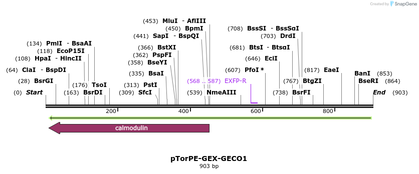 44979_map
