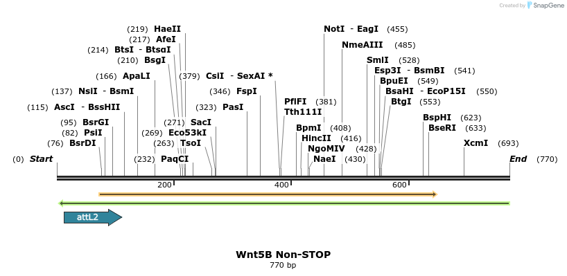 44981_map