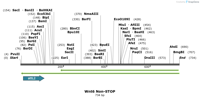 44982_map