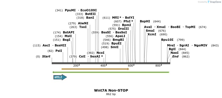 44983_map
