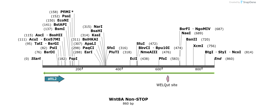 44985_map