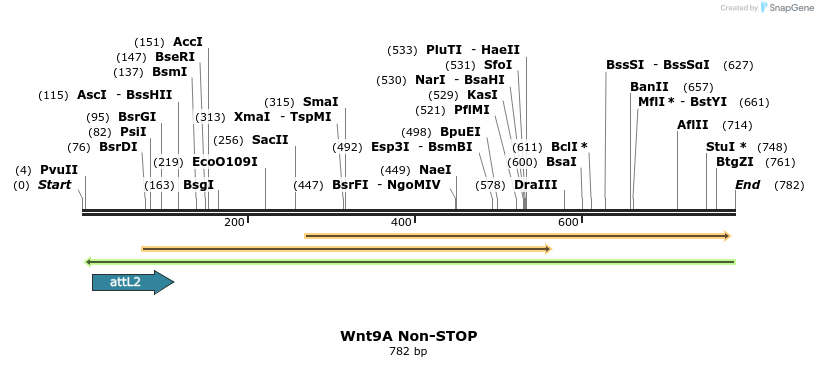 44987_map