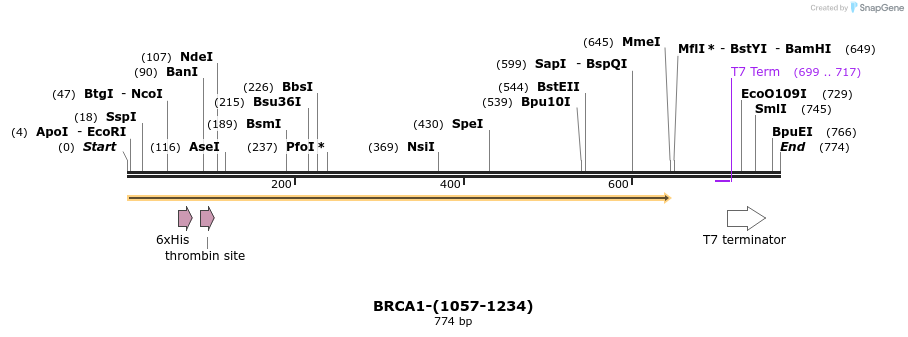 44988_map