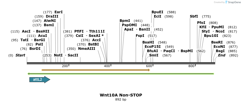 44991_map