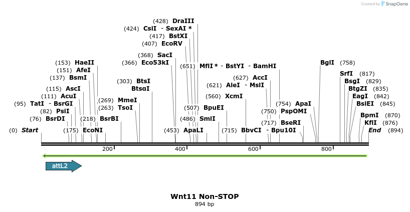 44992_map