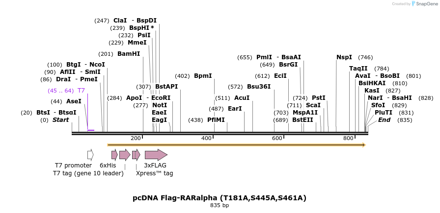 44994_map