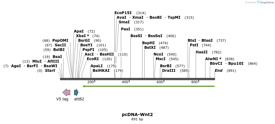 44995_map