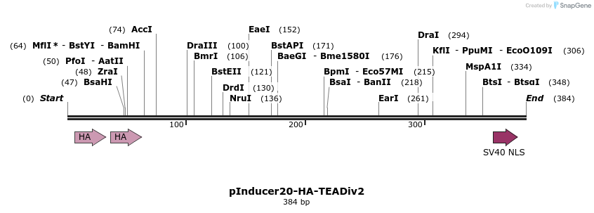 449957_map