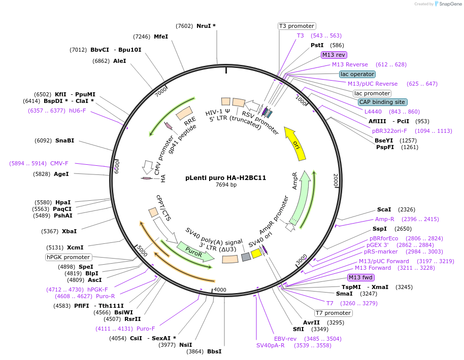 449979_map