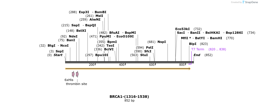45001_map