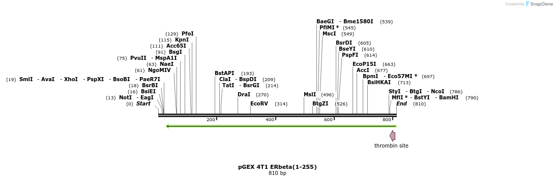45002_map