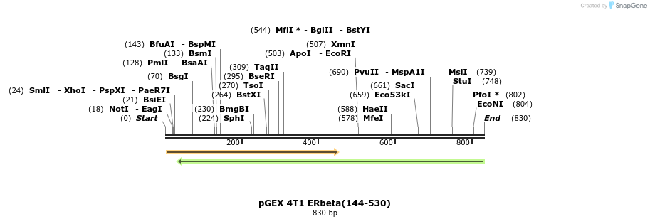 45003_map