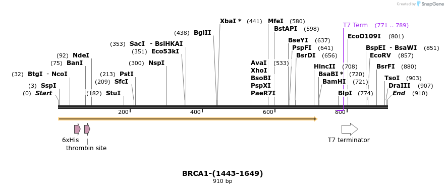 45004_map