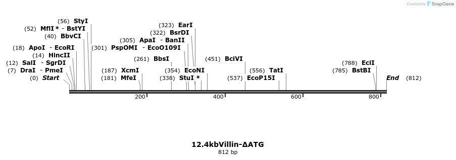 45005_map