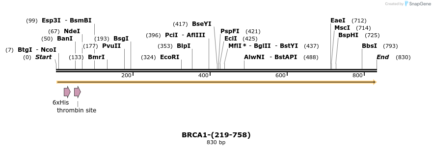 45006_map