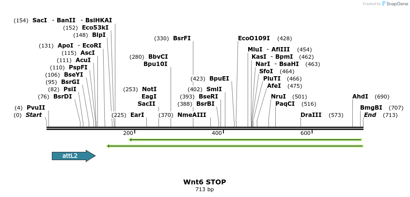 45007_map