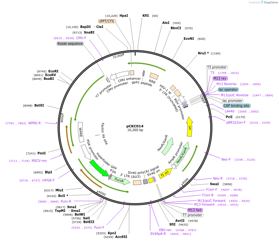 450095_map