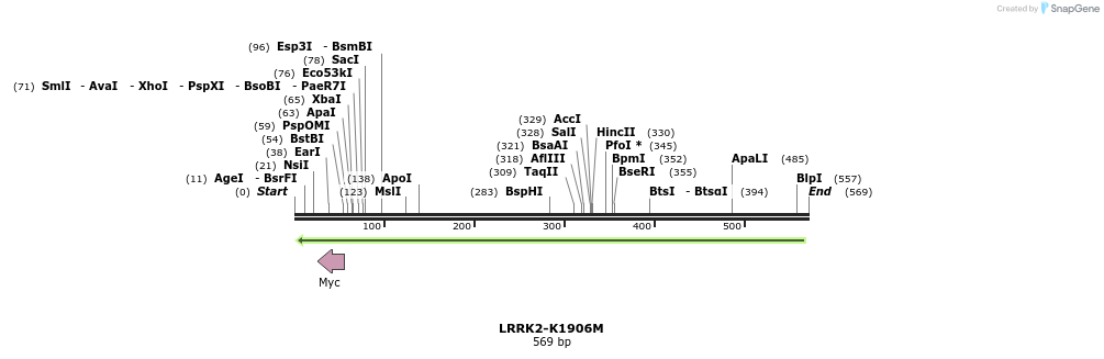 45010_map