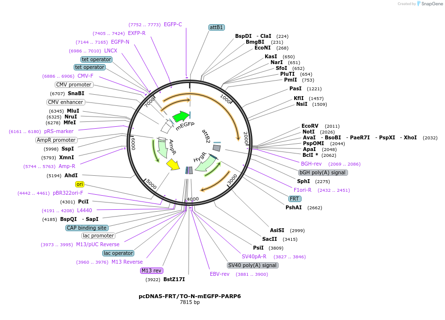 450105_map