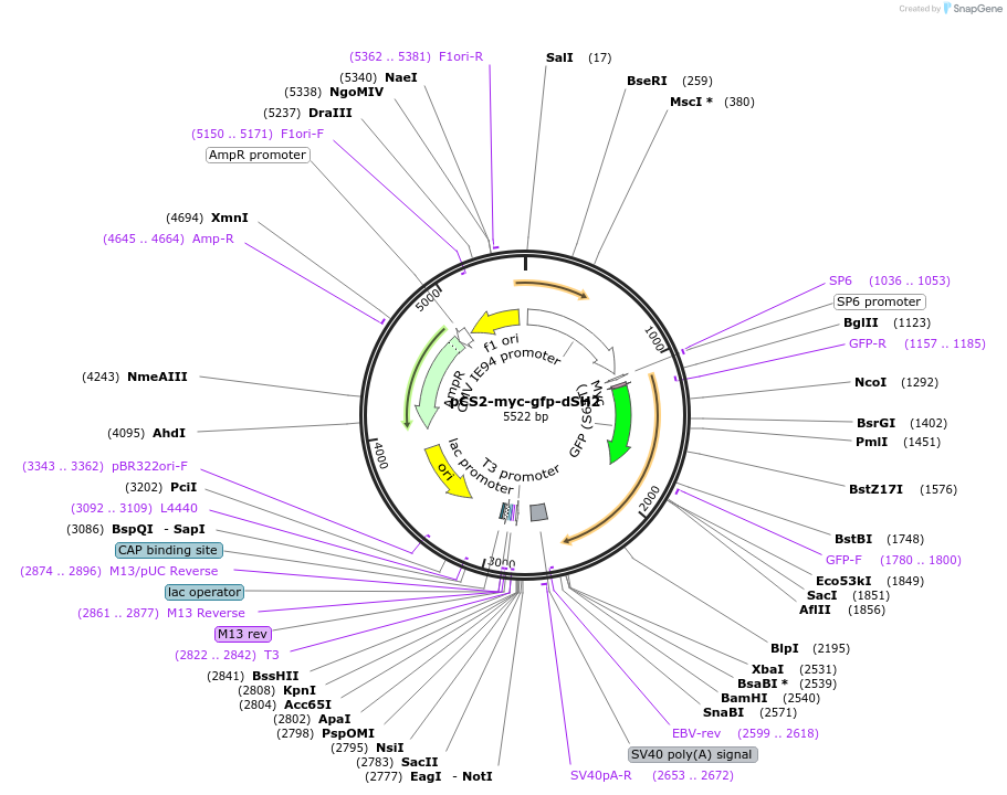 450116_map