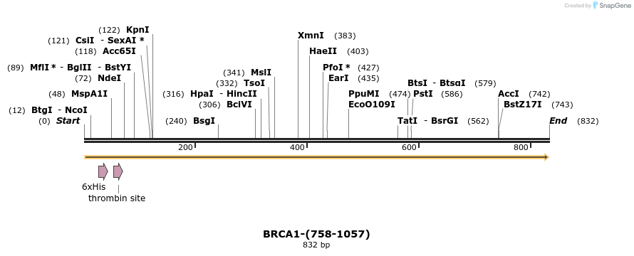 45013_map
