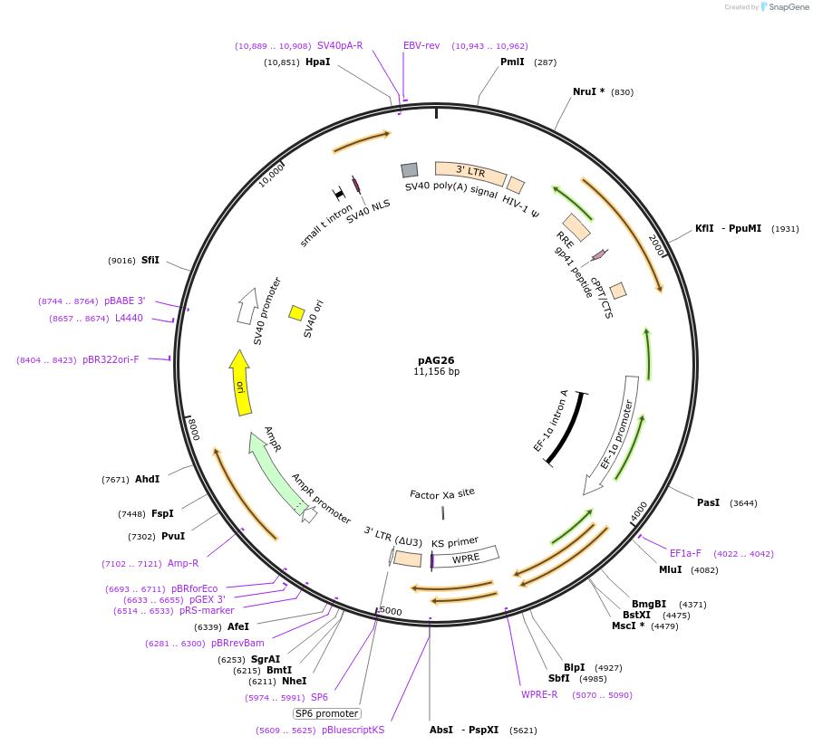 450152_map