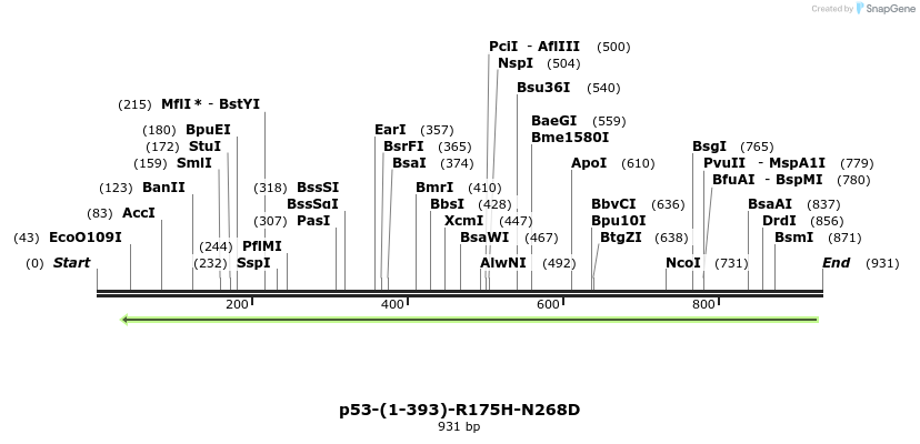 45016_map