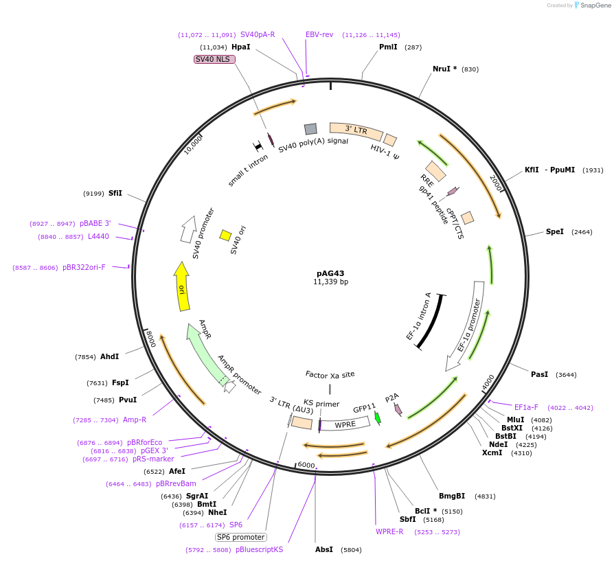 450163_map