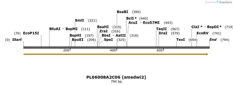 45017_map