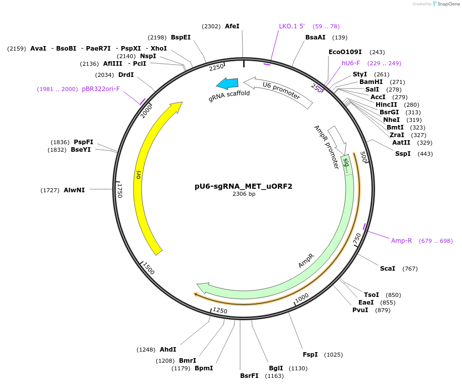 450172_map